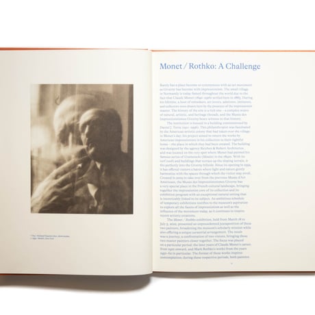 Monet / Rothko