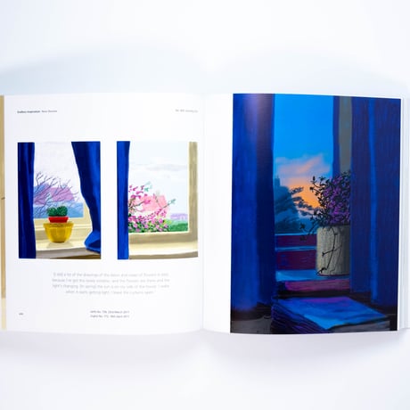 Hockney's Pictures