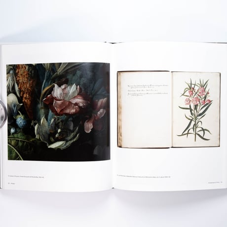 Rachel Ruysch: Nature into Art