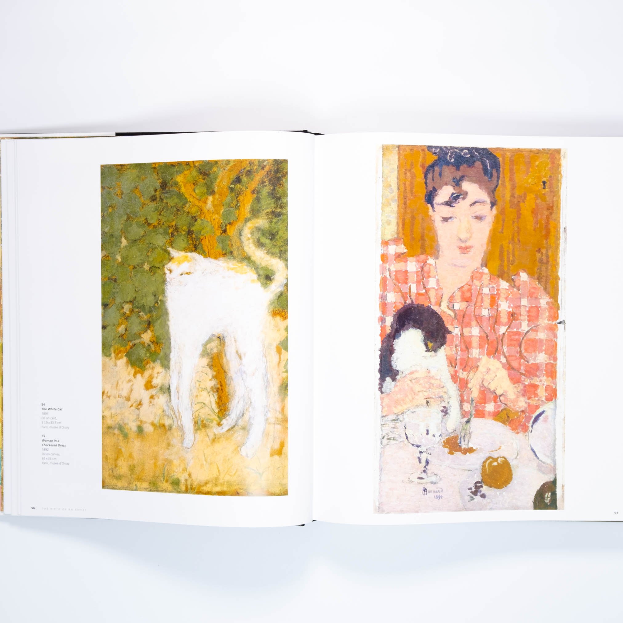 Bonnard | Art Book Iskusstvo