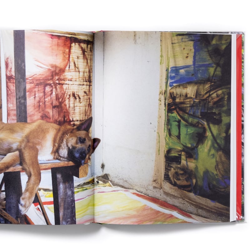 Vivian Suter | Art Book Iskusstvo