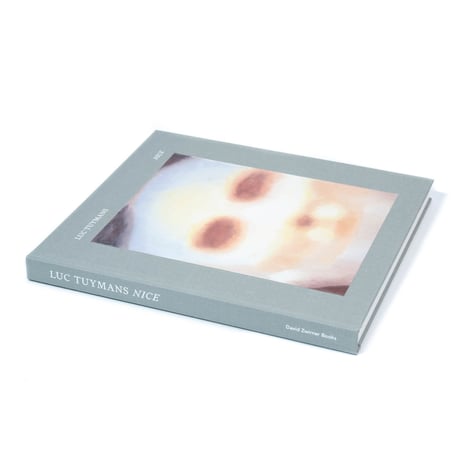 Luc Tuymans: Nice