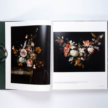 Rachel Ruysch: Nature into Art