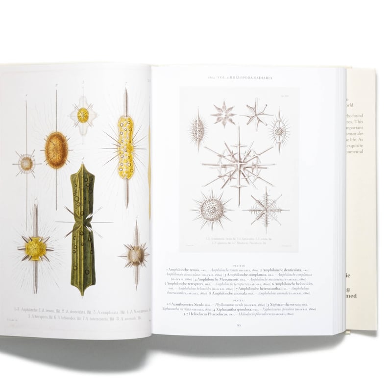 The Art and Science of Ernst Haeckel. 40th Ed.