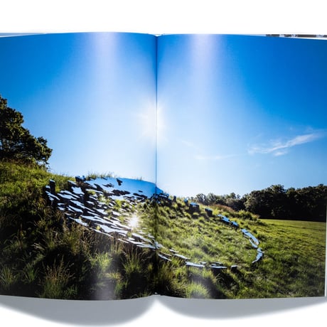 Sarah Sze: Fallen Sky