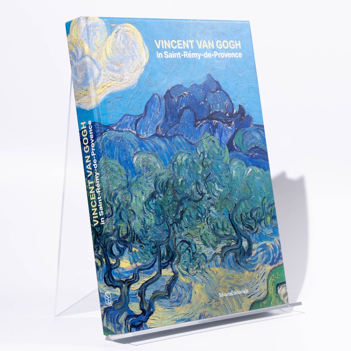 Vincent van Gogh in Saint-Rémy-de-Provence | Ar