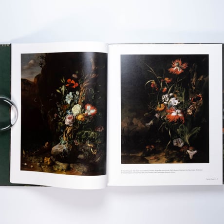 Rachel Ruysch: Nature into Art