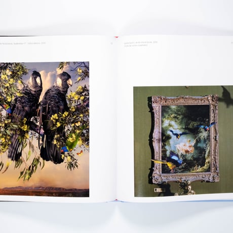 Aviary: The Bird in Contemporary Photography