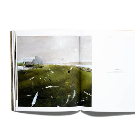 Andrew Wyeth: People and Places