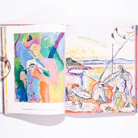 Matisse: The Bigger Picture