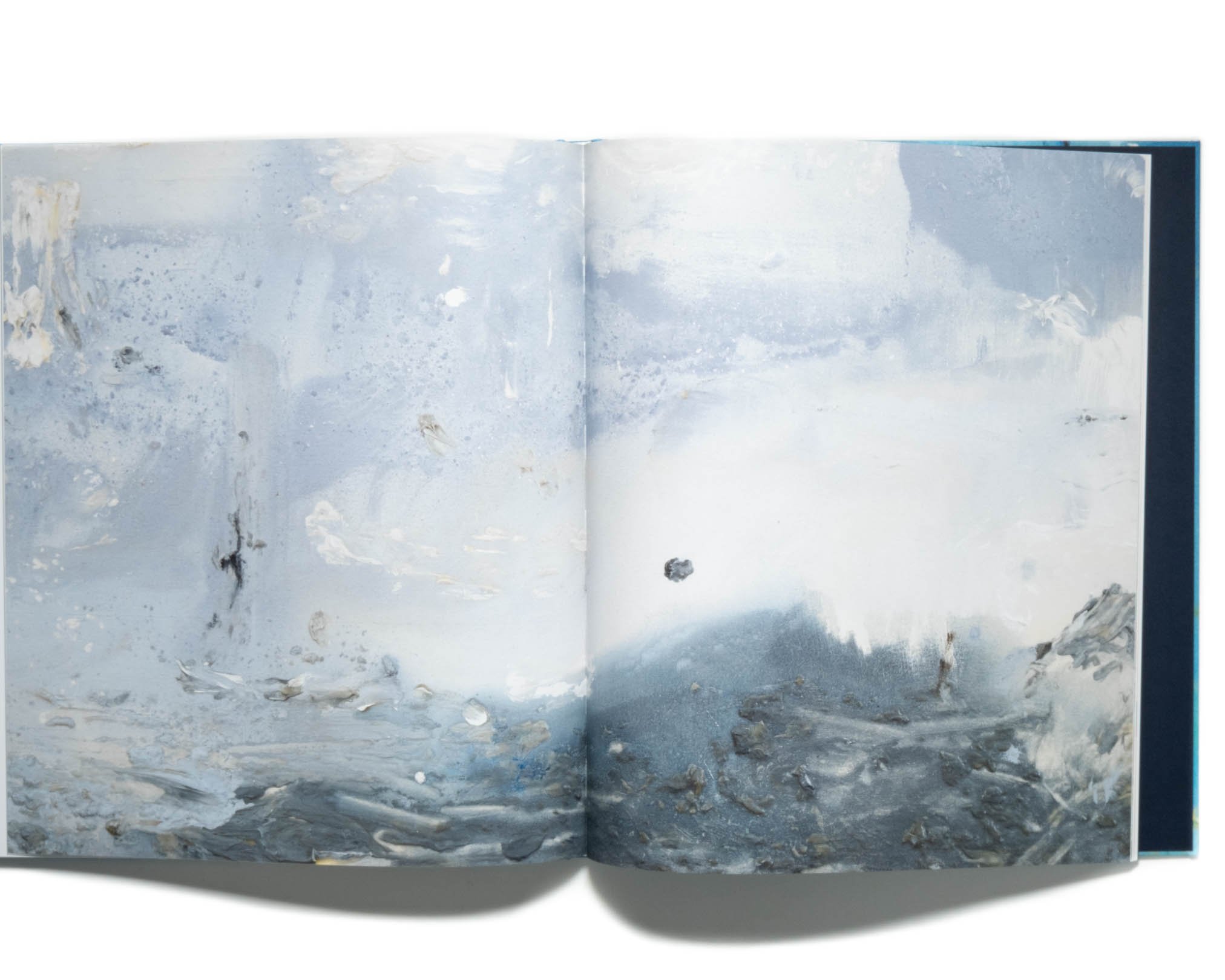 Helen Frankenthaler: Drawing within Nature, Pai