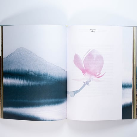 Louis Vuitton: A Perfume Atlas