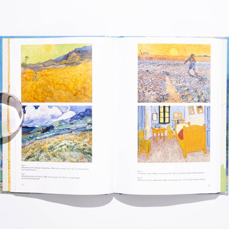 Vincent van Gogh in Saint-Rémy-de-Provence