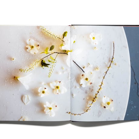 In Full Flower: Inspired Designs by Floral's New Creatives