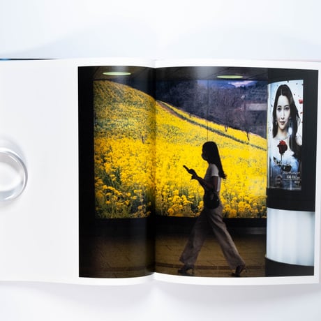 Anastasia Samoylova: Image Cities