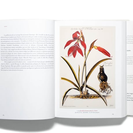 A Garden Eden. Masterpieces of Botanical Illustration. 40th Ed.