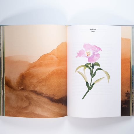 Louis Vuitton: A Perfume Atlas