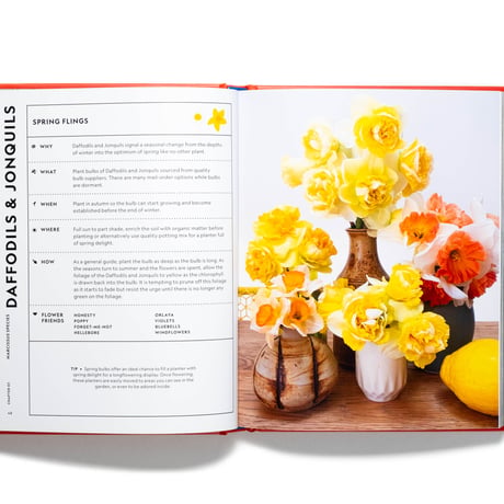 The Super Bloom Handbook