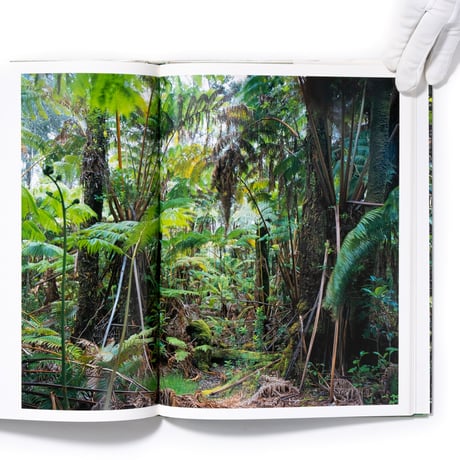 Thomas Struth: New Pictures from Paradise