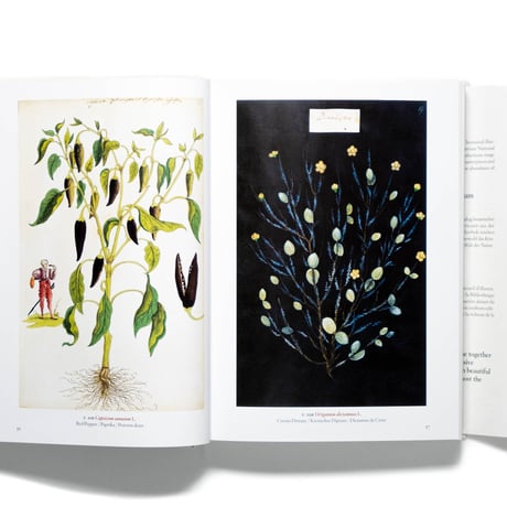 A Garden Eden. Masterpieces of Botanical Illustration. 40th Ed.