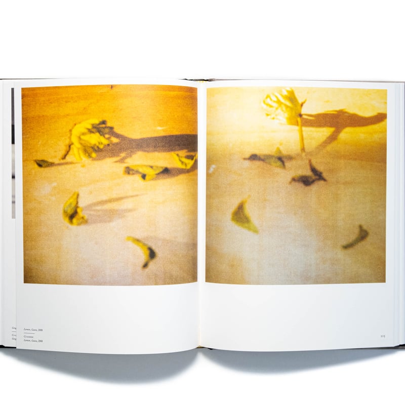 Cy Twombly Photographer, Friends and Others: Le