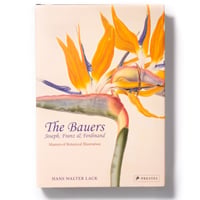 The Bauers Joseph, Franz & Ferdinand : Masters of Botanical Illustration