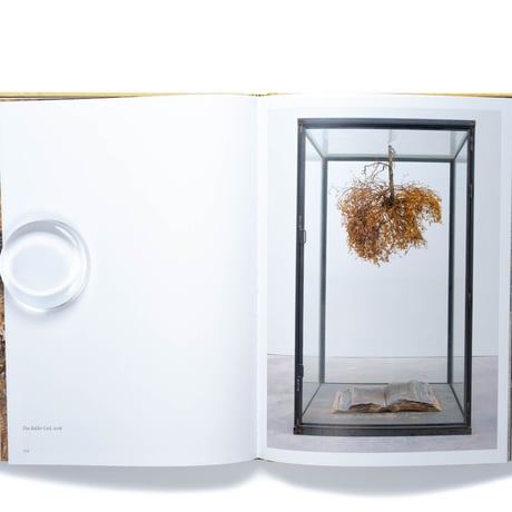Anselm Kiefer: Fallen Angels