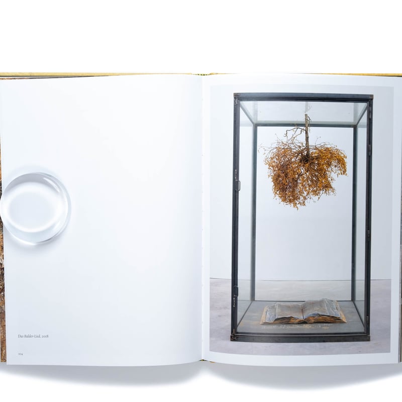 Anselm Kiefer: Fallen Angels | Art Book Iskusstvo