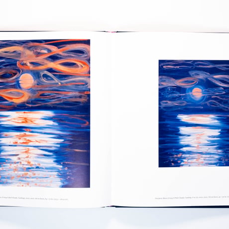Ann Craven: Twelve Moons