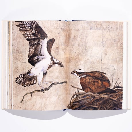 The Book of Birds : A Field Guide to Wonder and Loss