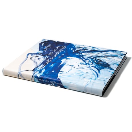 Tracey Emin – By the time you see me there will be nothing left