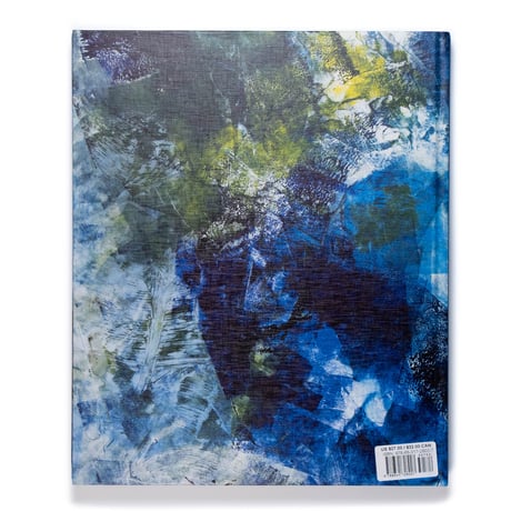 Beverly Barkat: Evocative Surfaces
