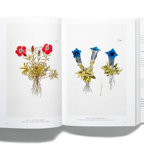 A Garden Eden. Masterpieces of Botanical Illustration. 40th Ed.