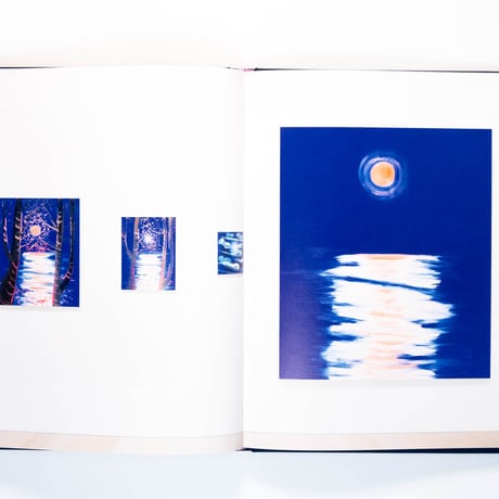 Ann Craven: Twelve Moons