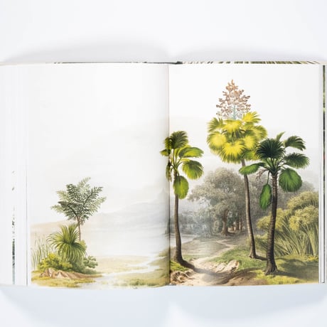 Martius. The Book of Palms. 45th Ed.