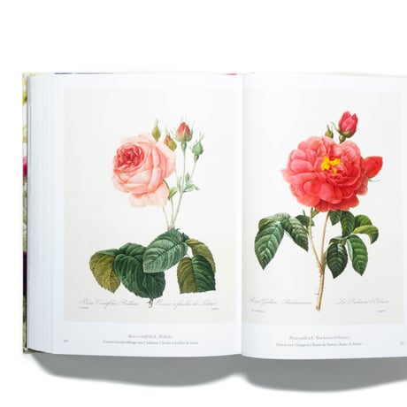 Redouté: The Book of Flowers. 40th Ed.