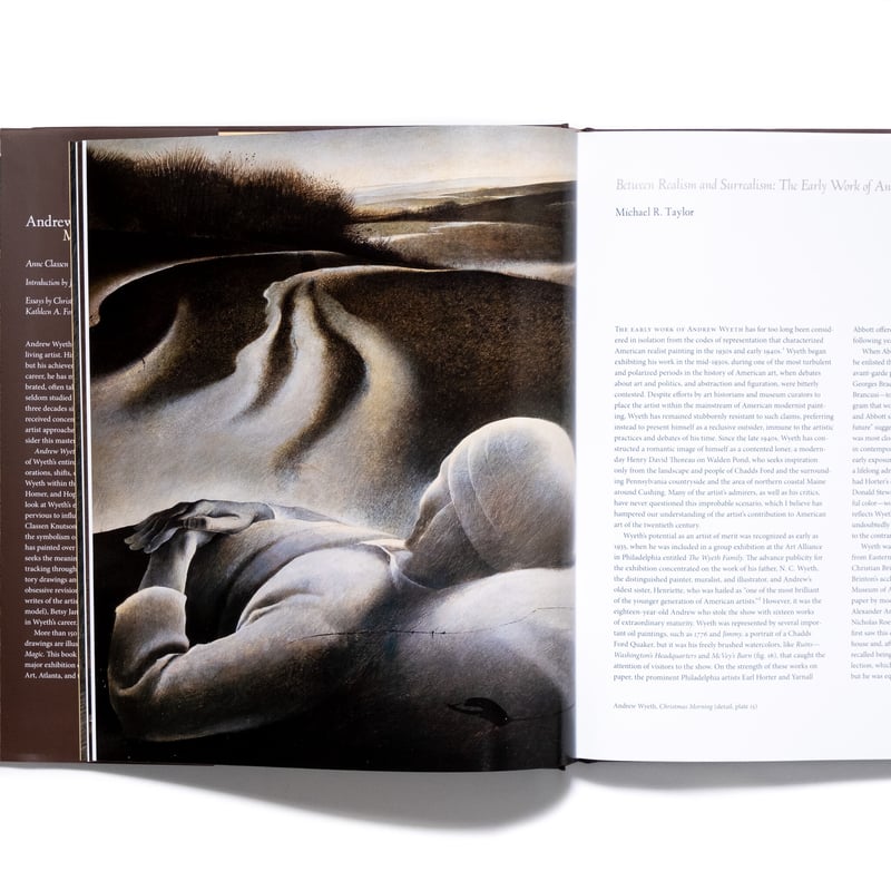 Andrew Wyeth: Memory and Magic | Art Book Iskus
