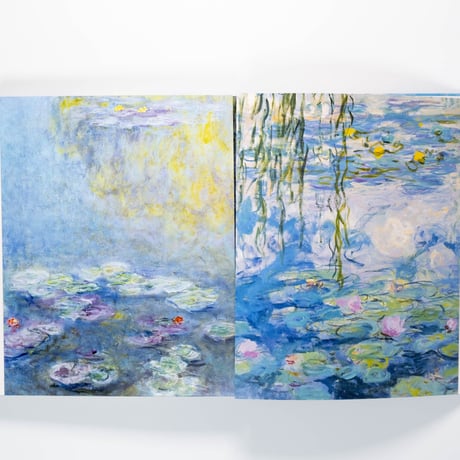 Monet: The Bigger Picture