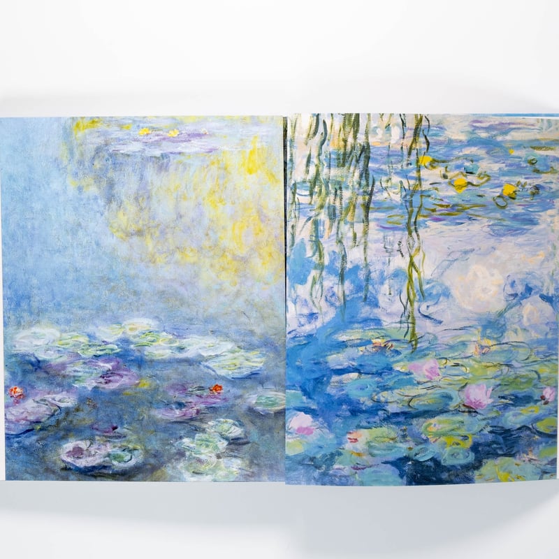Monet: The Bigger Picture | Art Book Iskusstvo
