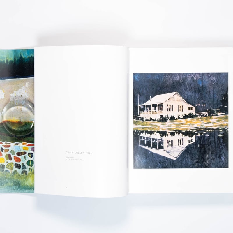 Peter Doig アートブック Amazon | Peter Doig (Rizzoli Classics) | Doig, Peter, Shiff