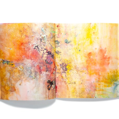 Frank Bowling: Landscape