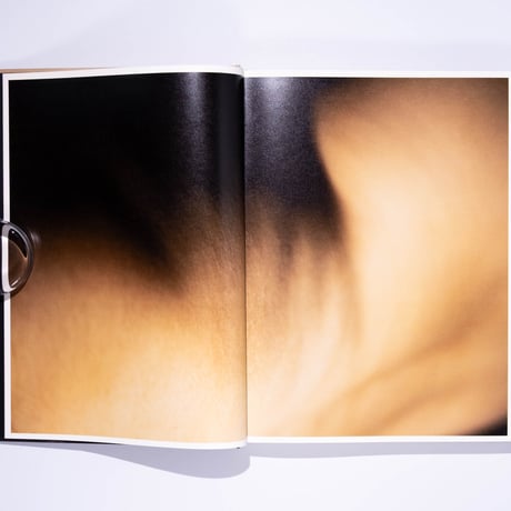 David Lynch, Digital Nudes