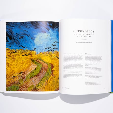 Van Gogh in Auvers-sur-Oise: His Final Months