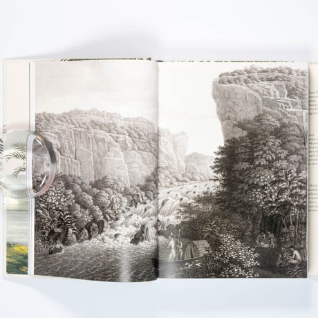 Martius. The Book of Palms. 45th Ed.