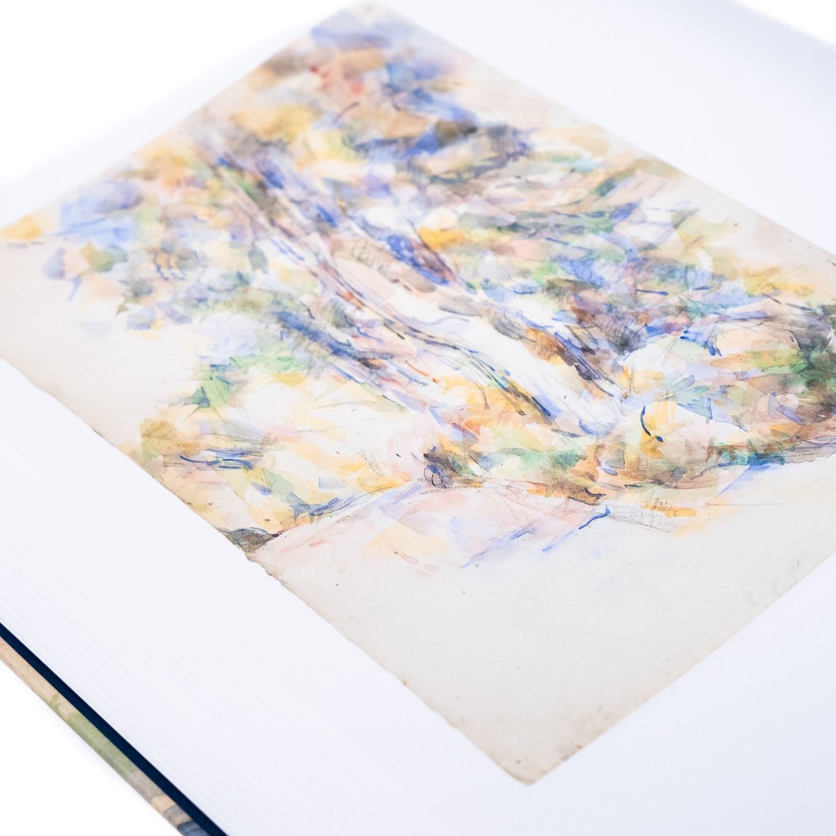 洋書、展覧会図録『Cézanne in focus』 洋書、展覧会図録『Cézanne in focus』