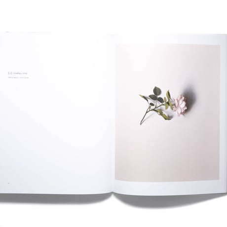 Alison Watt: A Portrait Without Likeness