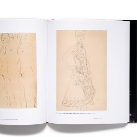 Klimt and the Women of Vienna's Golden Age