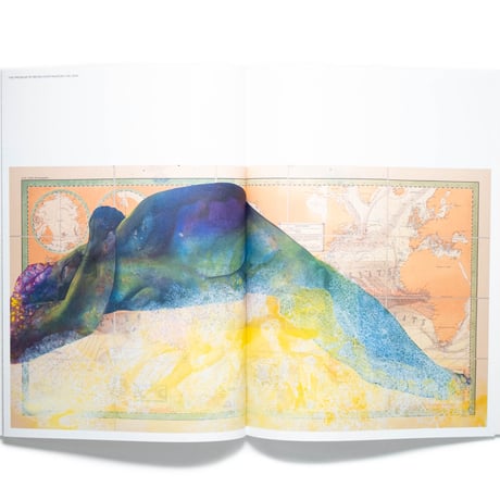 Firelei Báez: Trust Memory over History