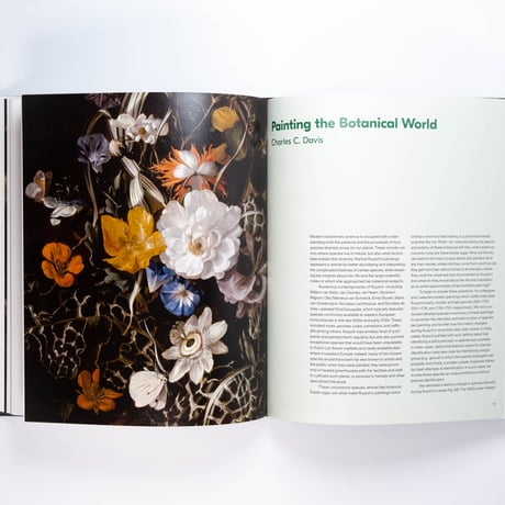 Rachel Ruysch: Nature into Art