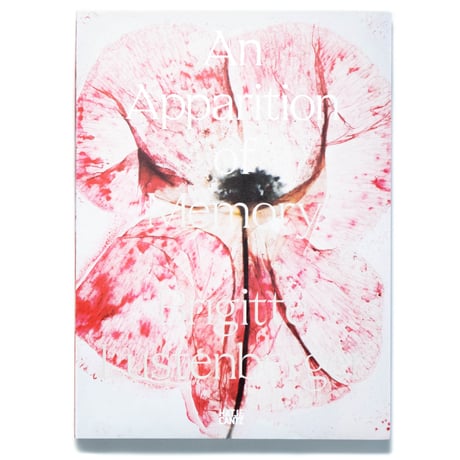 Brigitte Lustenberger: An Apparition of Memory